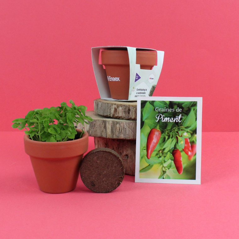 Capture d'écran 2026-03-17 124052